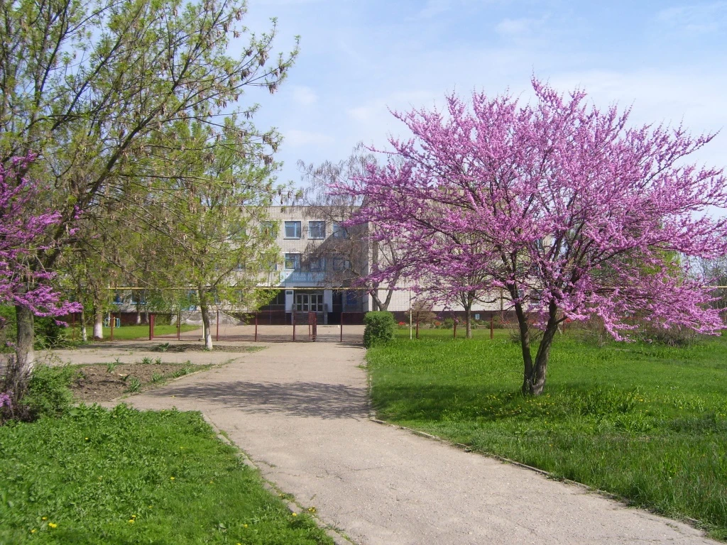 МБОУ-СОШ №12 ст.Новониколаевской