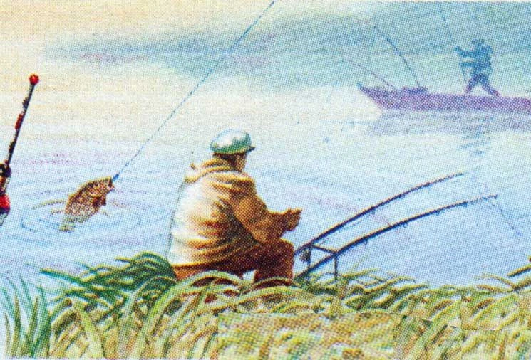 ВЯТСКАЯ РЫБАЛКА - Киров и область