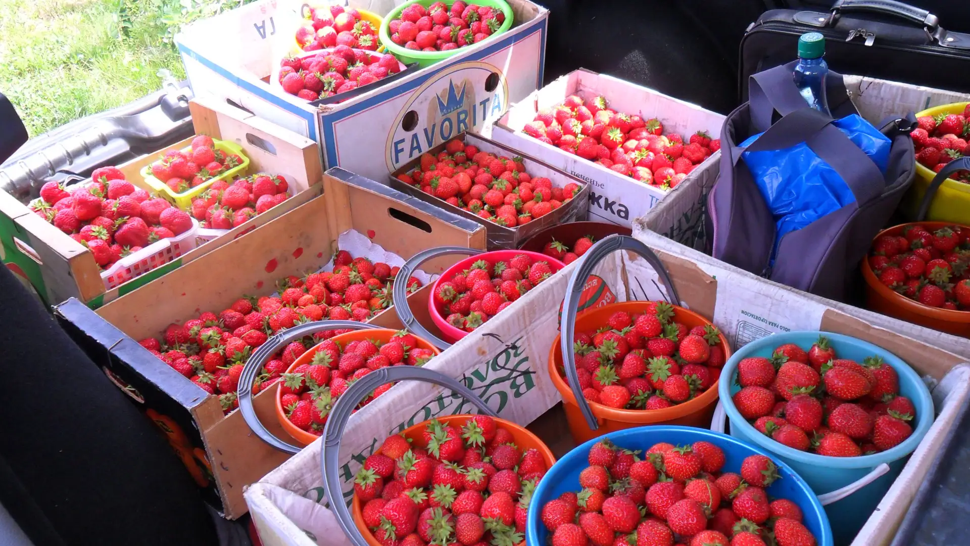 Логотип канала