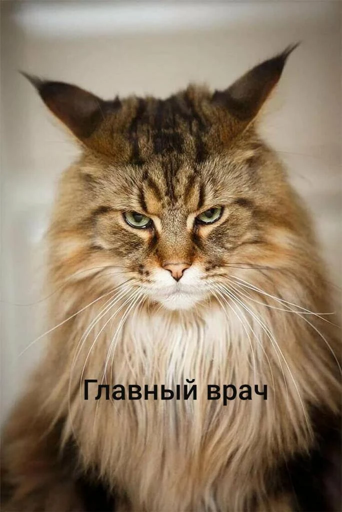 ГБУ РО "Рыбновская райветстанция"