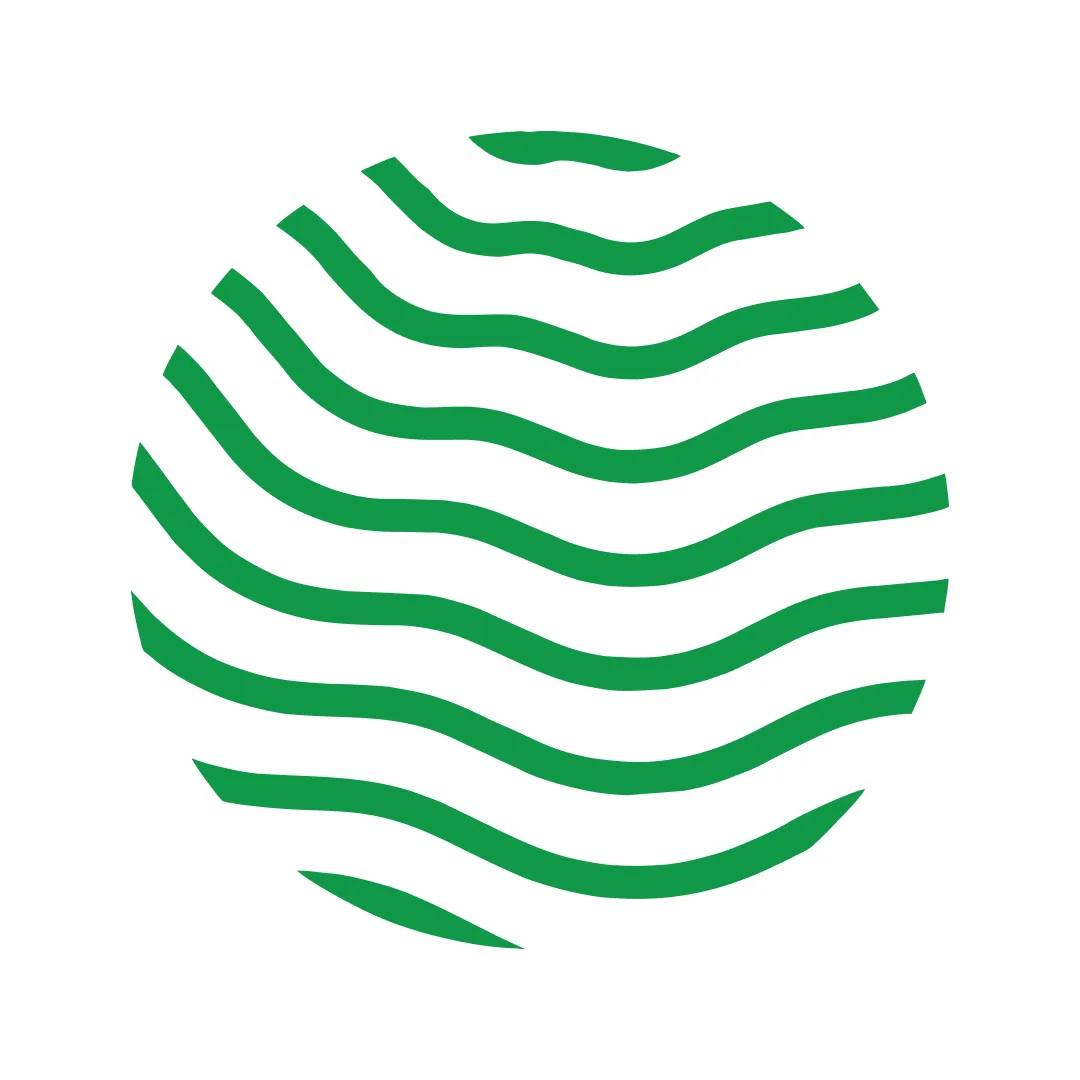 Институт экономики НовГУ