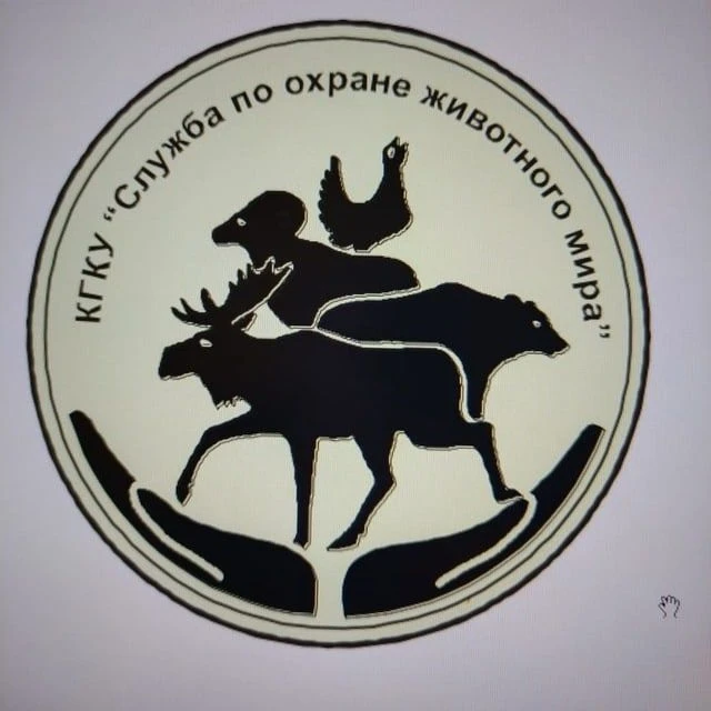 КГБУ "Служба по охране животного мира Камчатского края" — канал в мессенджере MAX