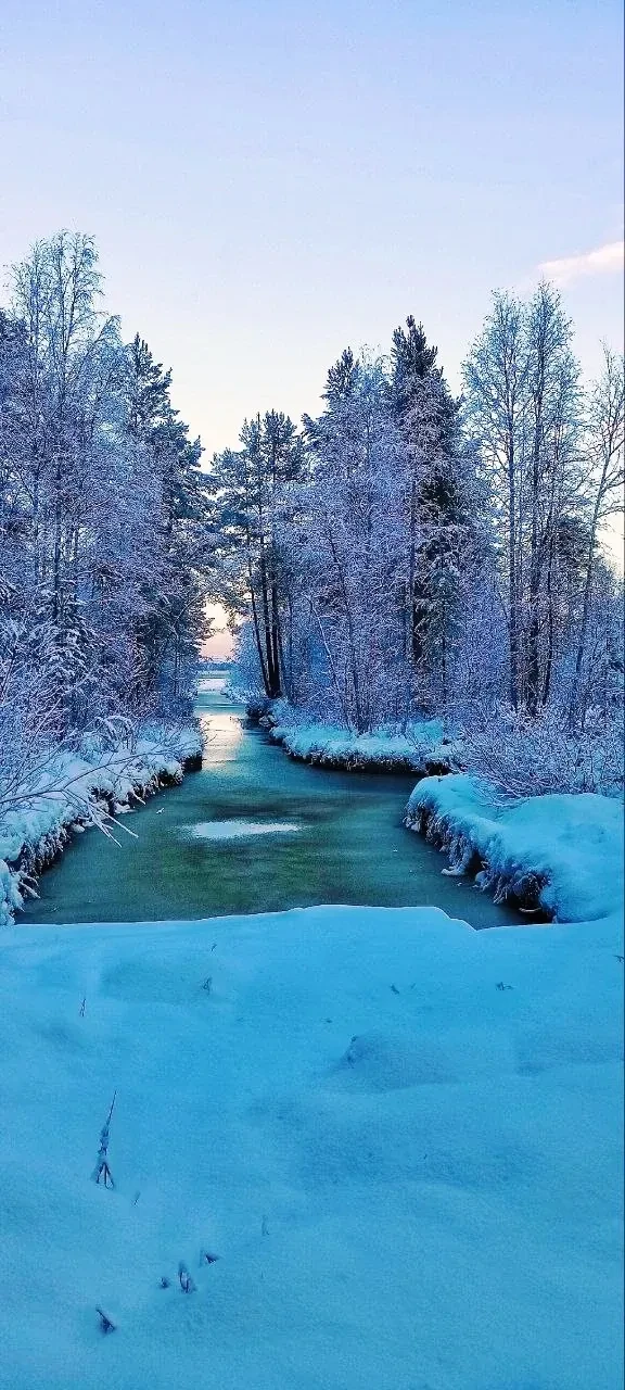 Управление земельными ресурсами Карелии