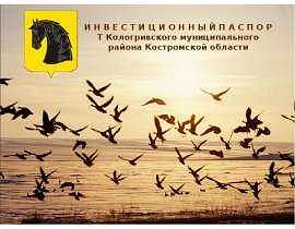 ФИНАНСОВЫЙ ОТДЕЛ АДМИНИСТРАЦИИ КОЛОГРИВСКОГО МУНИЦИПАЛЬНОГО ОКРУГА КОСТРОМСКОЙ ОБЛАСТИ