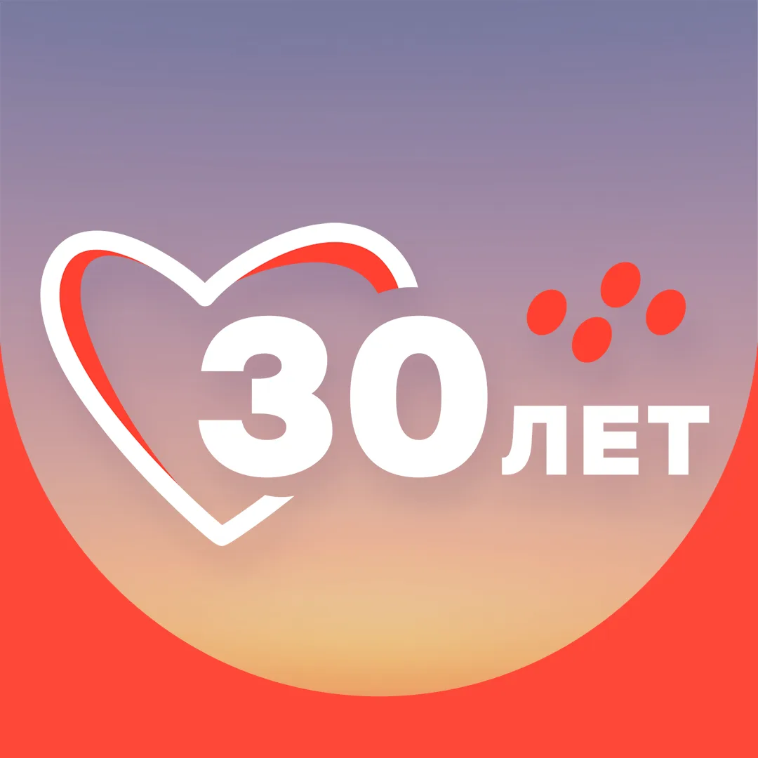 CARCADE — канал в мессенджере MAX