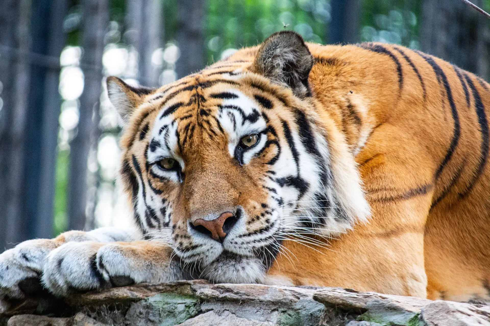 Логотип канала