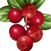 Канал МАДОУ Д/С № 153 ГОРОДА ТЮМЕНИ