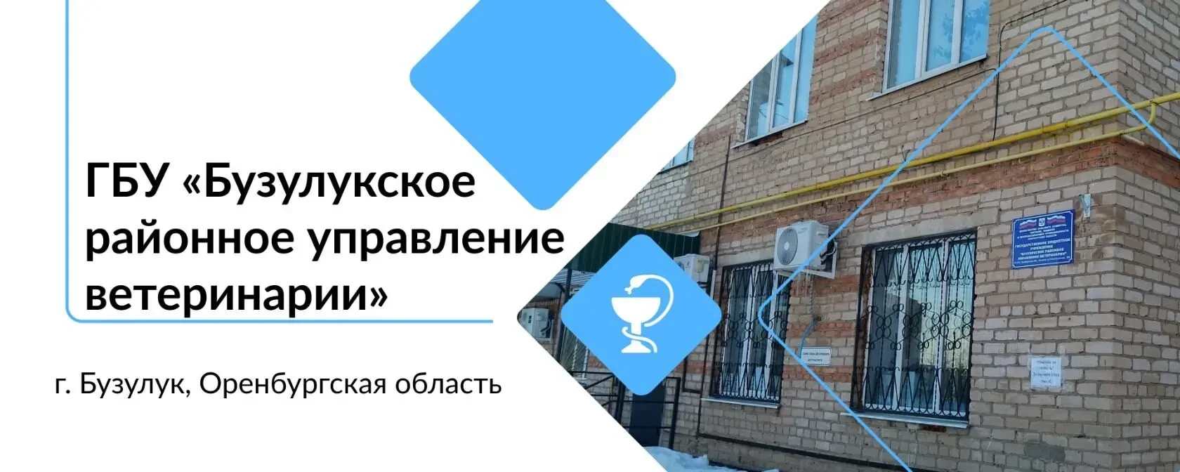 ГБУ "Бузулукское районное управление ветеринарии"