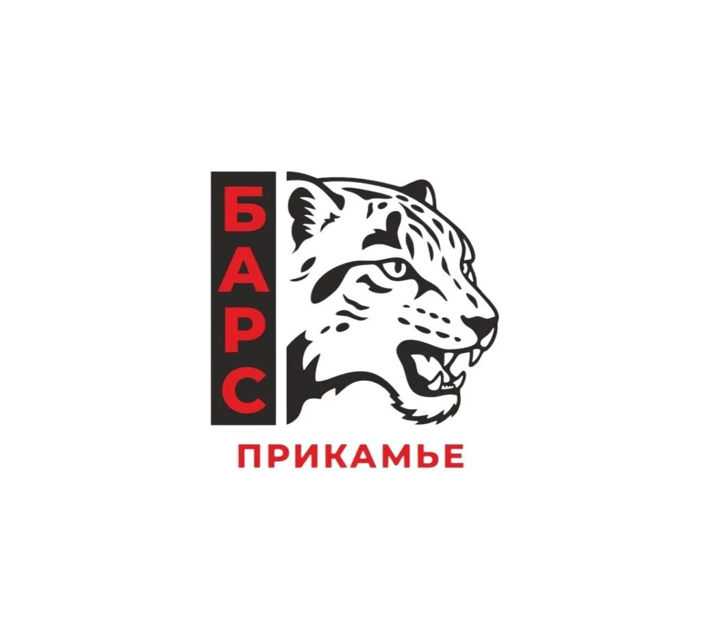БАРС-Прикамье — канал в мессенджере MAX