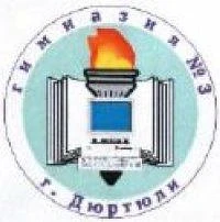 МБОУ гимназия 3 г.Дюртюли