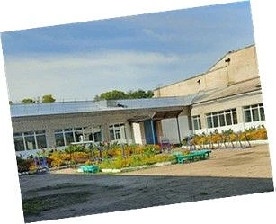 МОУ Тамбовская СОШ (Амурская область)