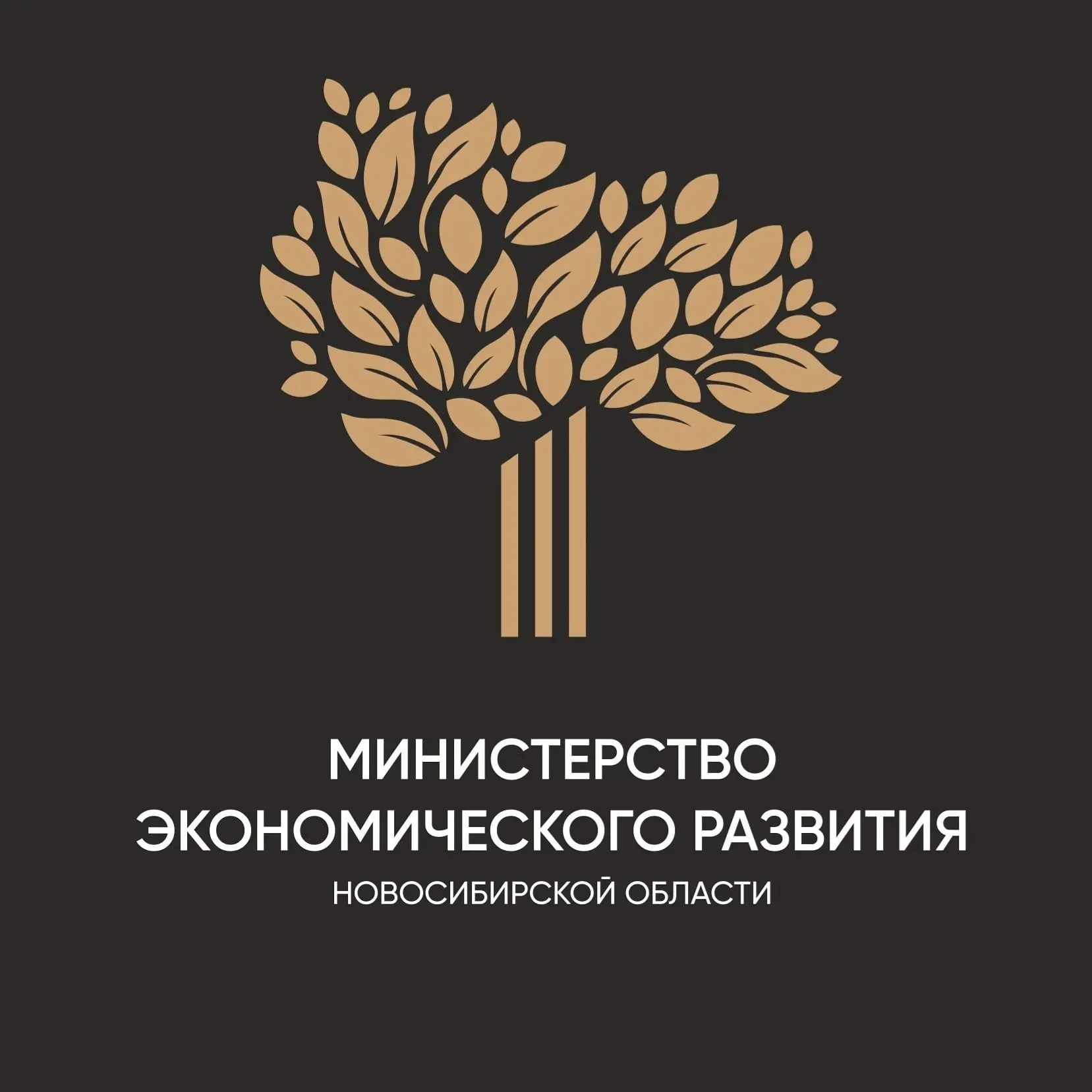 Поддержка экономики НСО — канал в мессенджере MAX