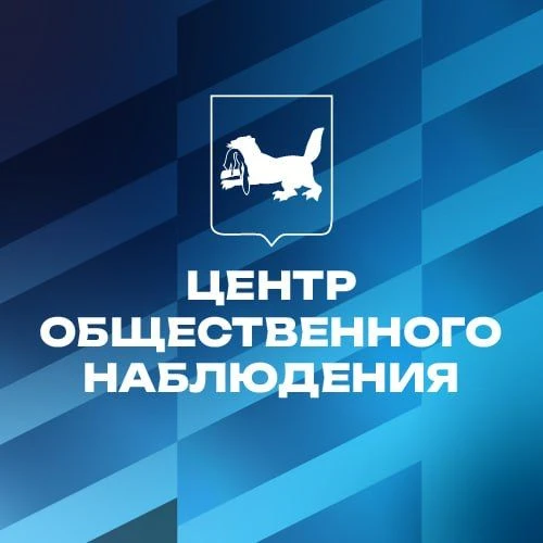 Центр общественного наблюдения за выборами — канал в мессенджере MAX