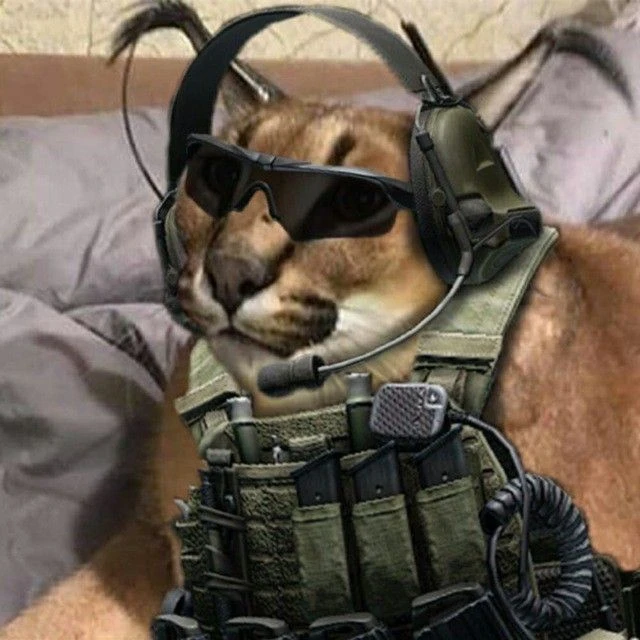 Пабг | PUBG Мемы