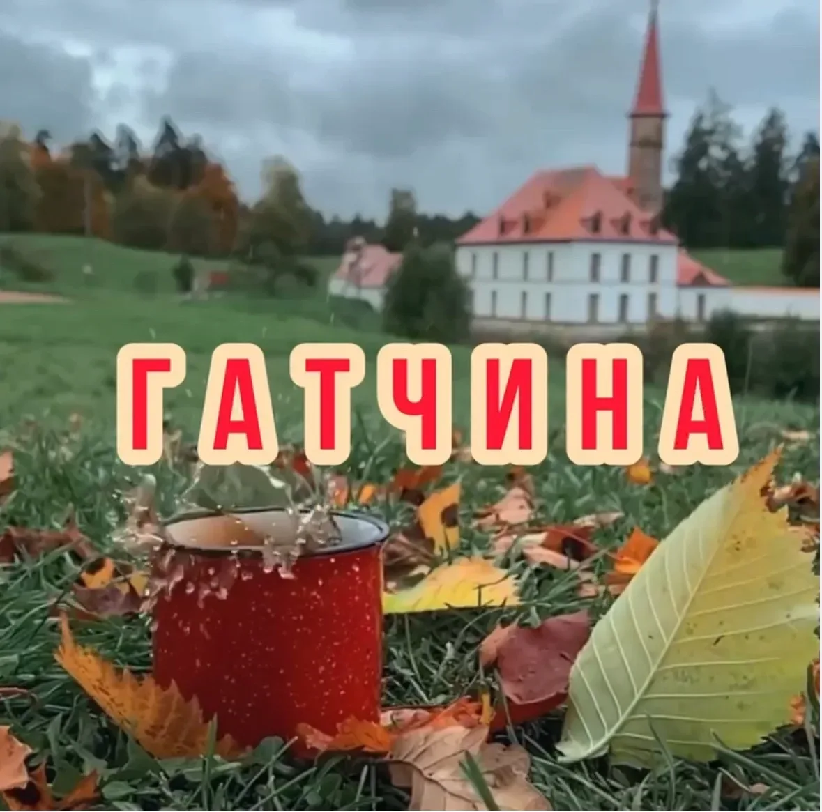 Гатчина — канал в мессенджере MAX