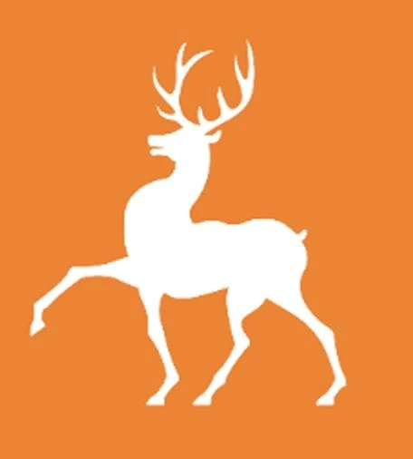 ГБУ «Областной санаторно-реабилитационный центр для несовершеннолетних «Золотой колос» (Арзамасский район)»