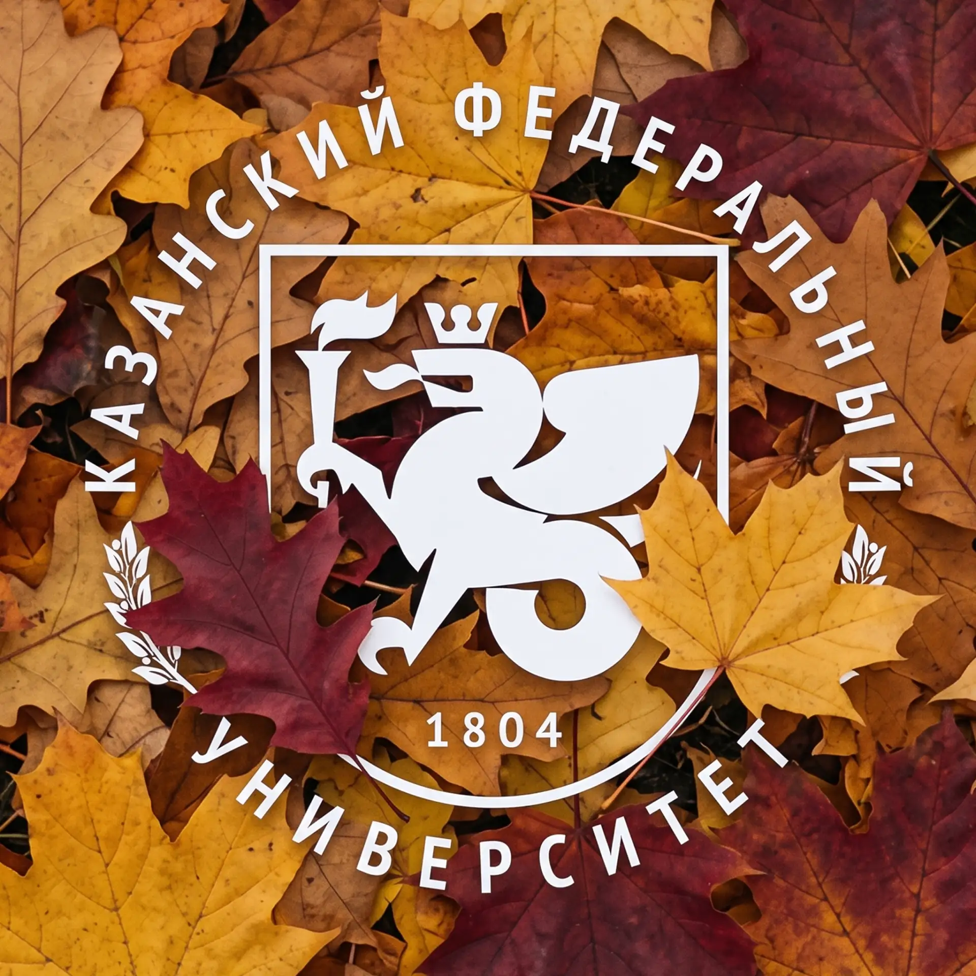 Казанский федеральный университет| КФУ — канал в мессенджере MAX
