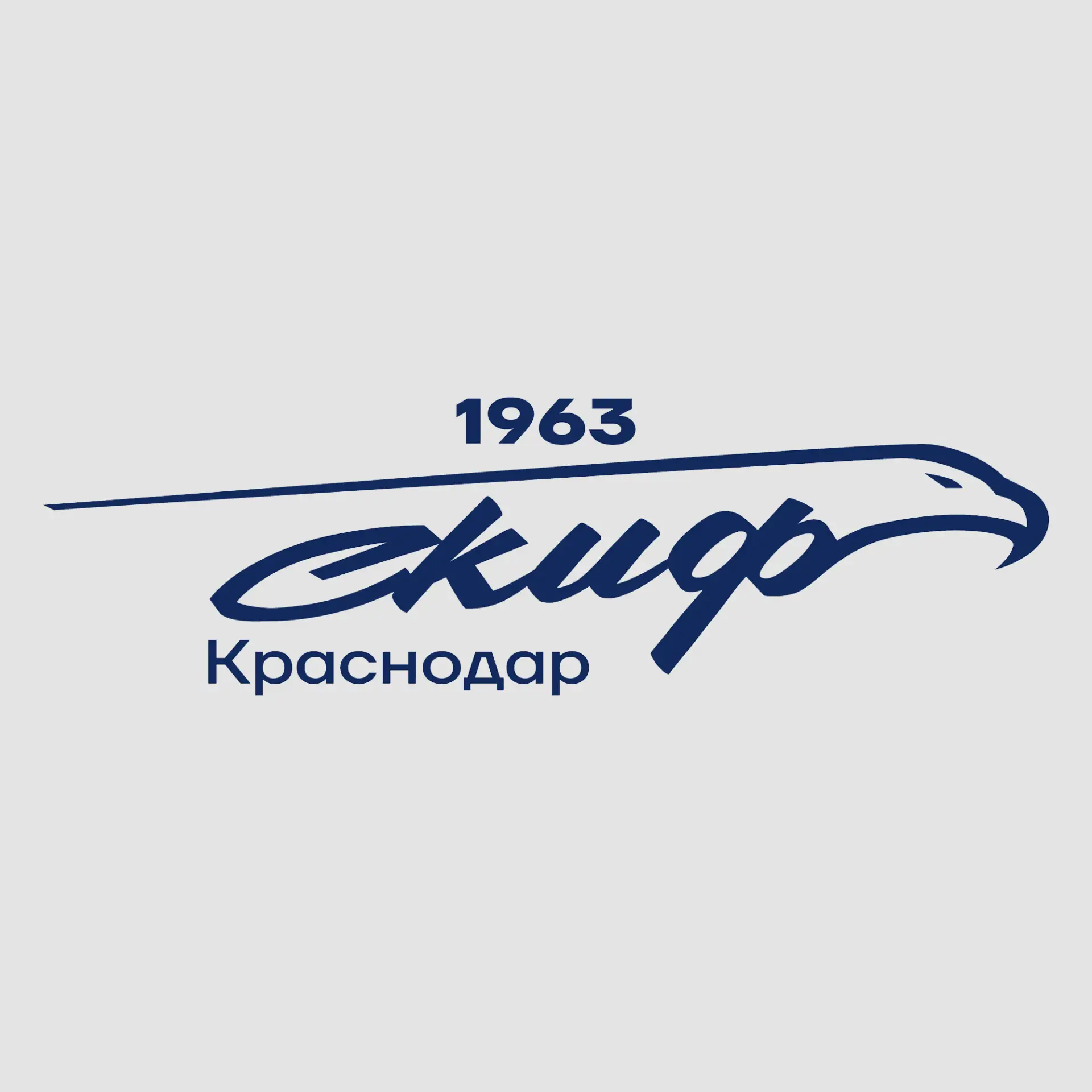 Гандбольный клуб СКИФ