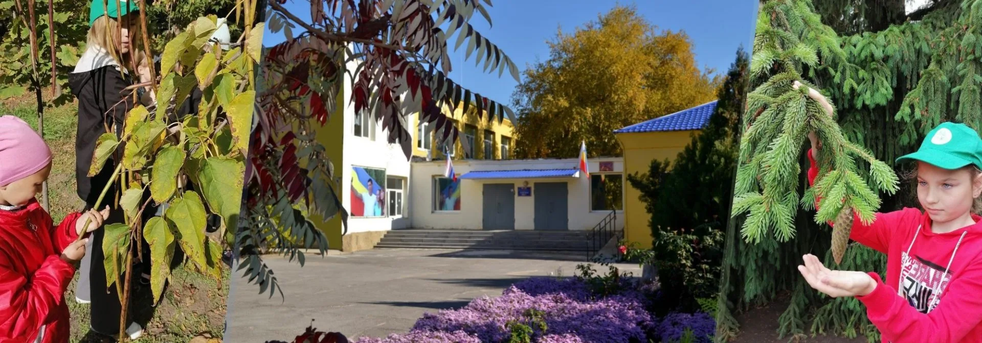 Солонецкая СОШ