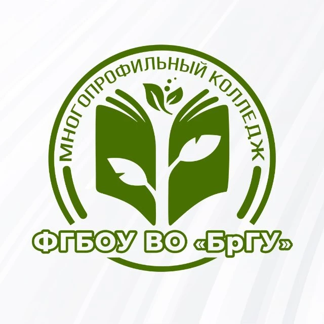 Многопрофильный колледж БрГУ