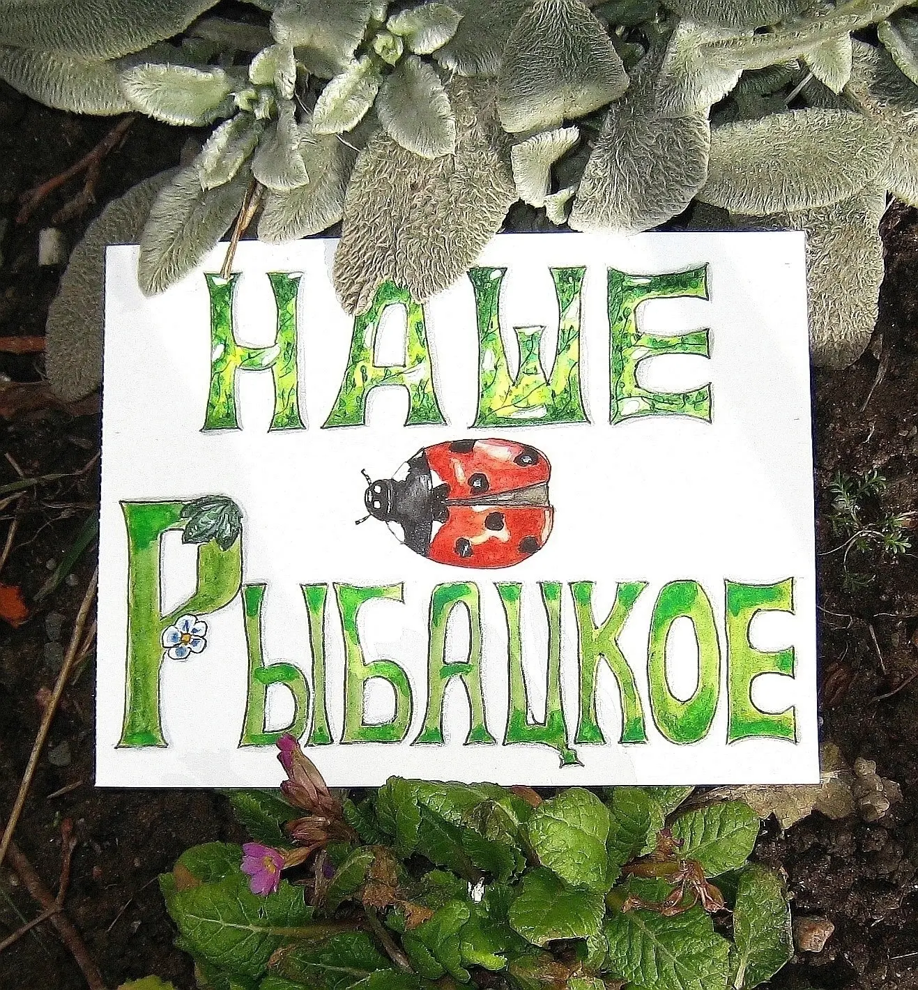 Рыбацкое - Невский район