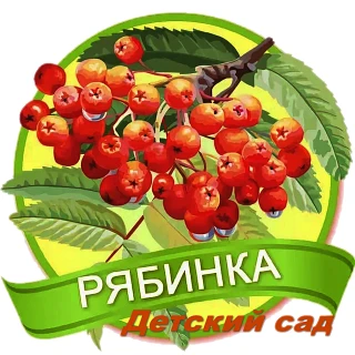 МБДОУ Курагинский детский сад №7 "Рябинка"