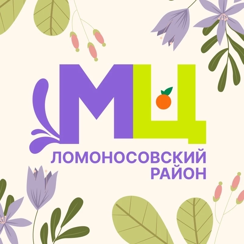 МАУ МП "Молодежный центр Ломоносовского района"