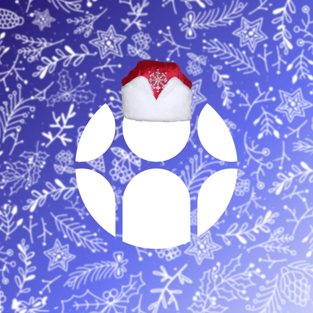 Новое.Медиа в ДНР