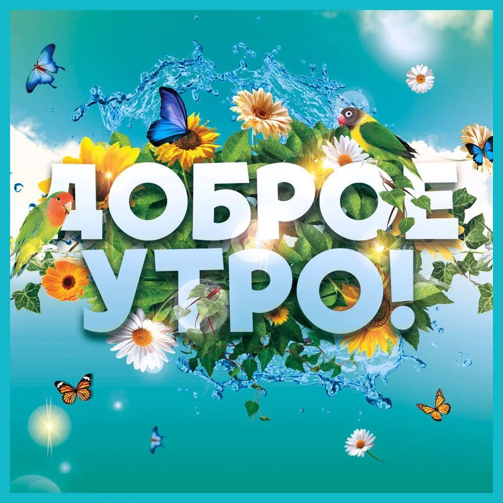 Тележка с открытками. Открытки и поздравления. Доброе утро! С Днём рождения! Спокойной ночи! Настроение. 7 сентября С Днём внучат, барабанщиков, ёжика, рассказывания историй о летних путешествиях! — канал в мессенджере MAX