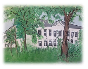 МАОУ "Тёсово-Нетыльская СОШ"