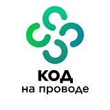 Код на проводе — канал в мессенджере MAX