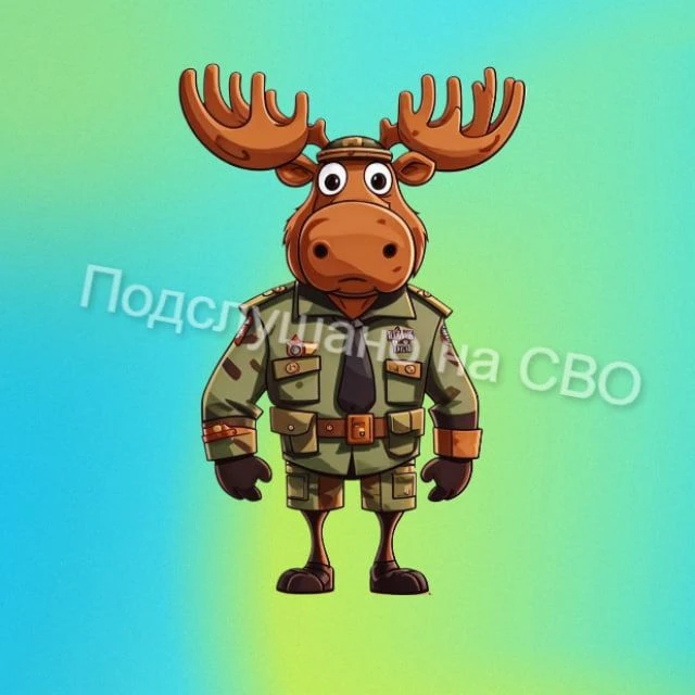 ПОДСЛУШАНО НА СВО