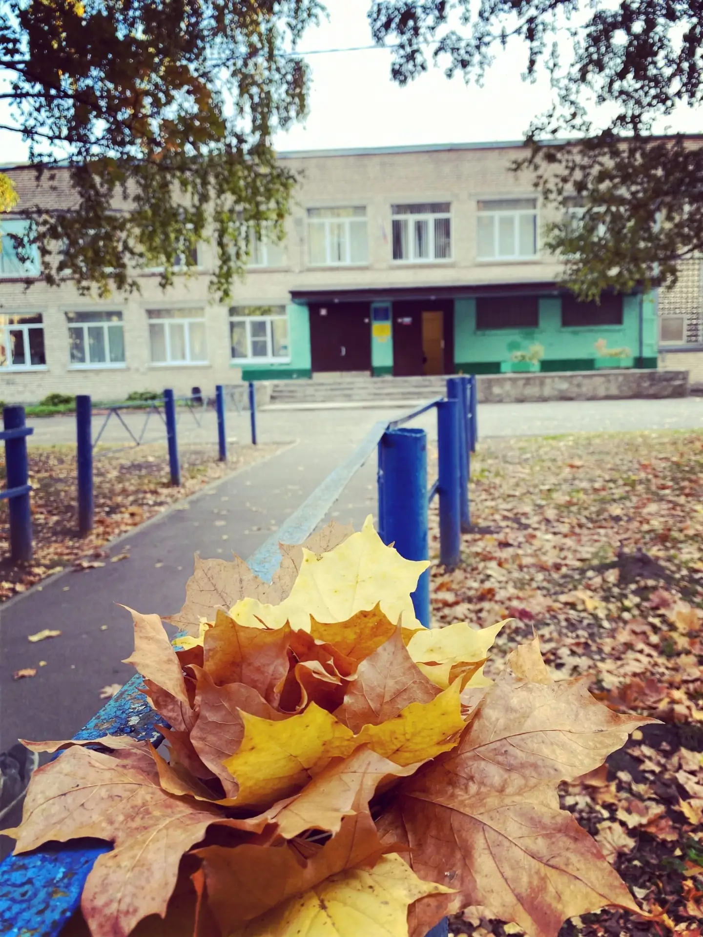 МОУ "Сланцевская СОШ № 1"