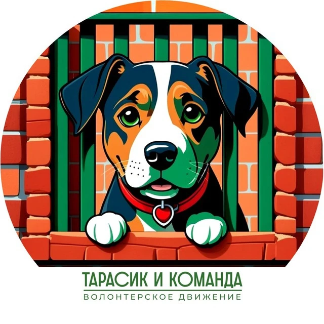 Тарасик и команда © official