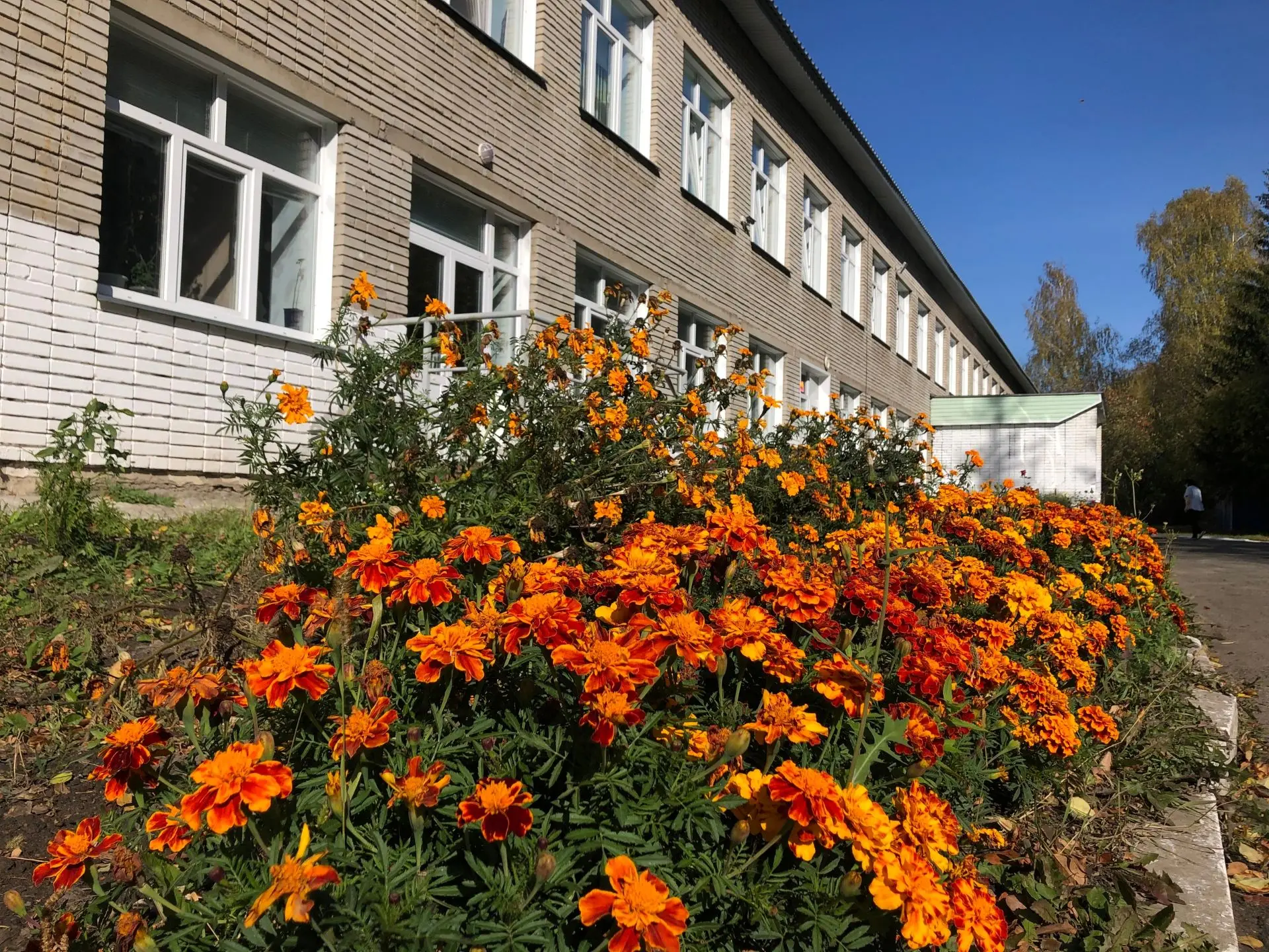 МБОУ «Мочищенская школа 45»