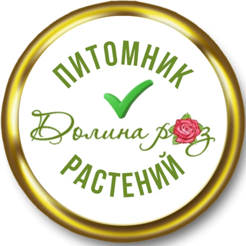 Жизнь питомника "Долина роз"