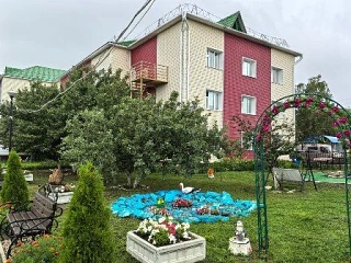 ГАУСО "Новошешминский ДИПИ" МТЗ и СЗ РТ