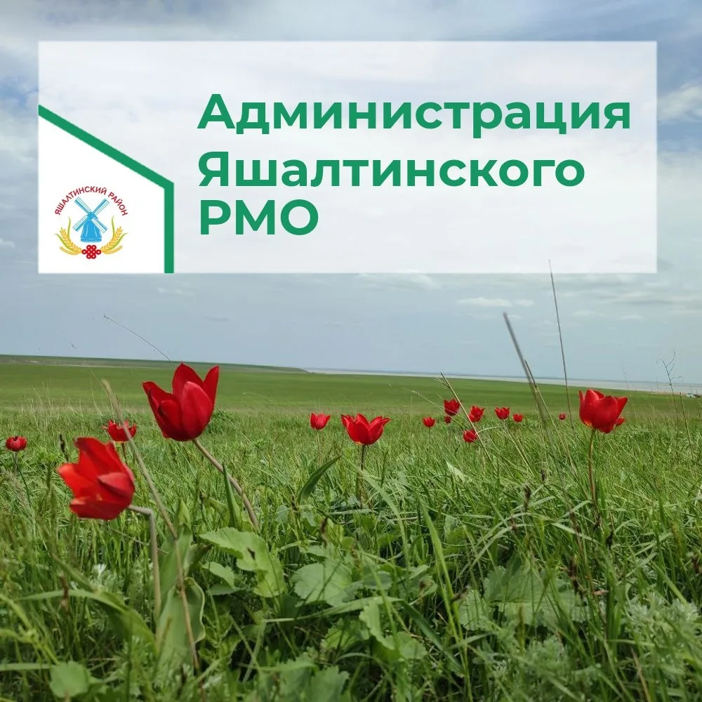 Администрация Яшалтинского РМО — канал в мессенджере MAX