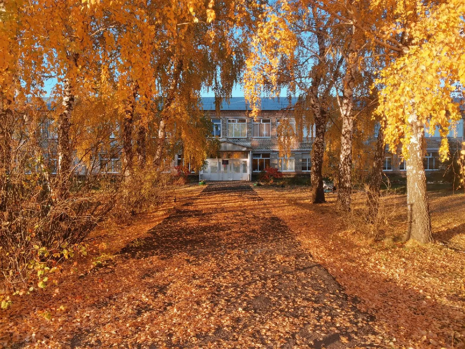 МБОУ "Баклановская ООШ"