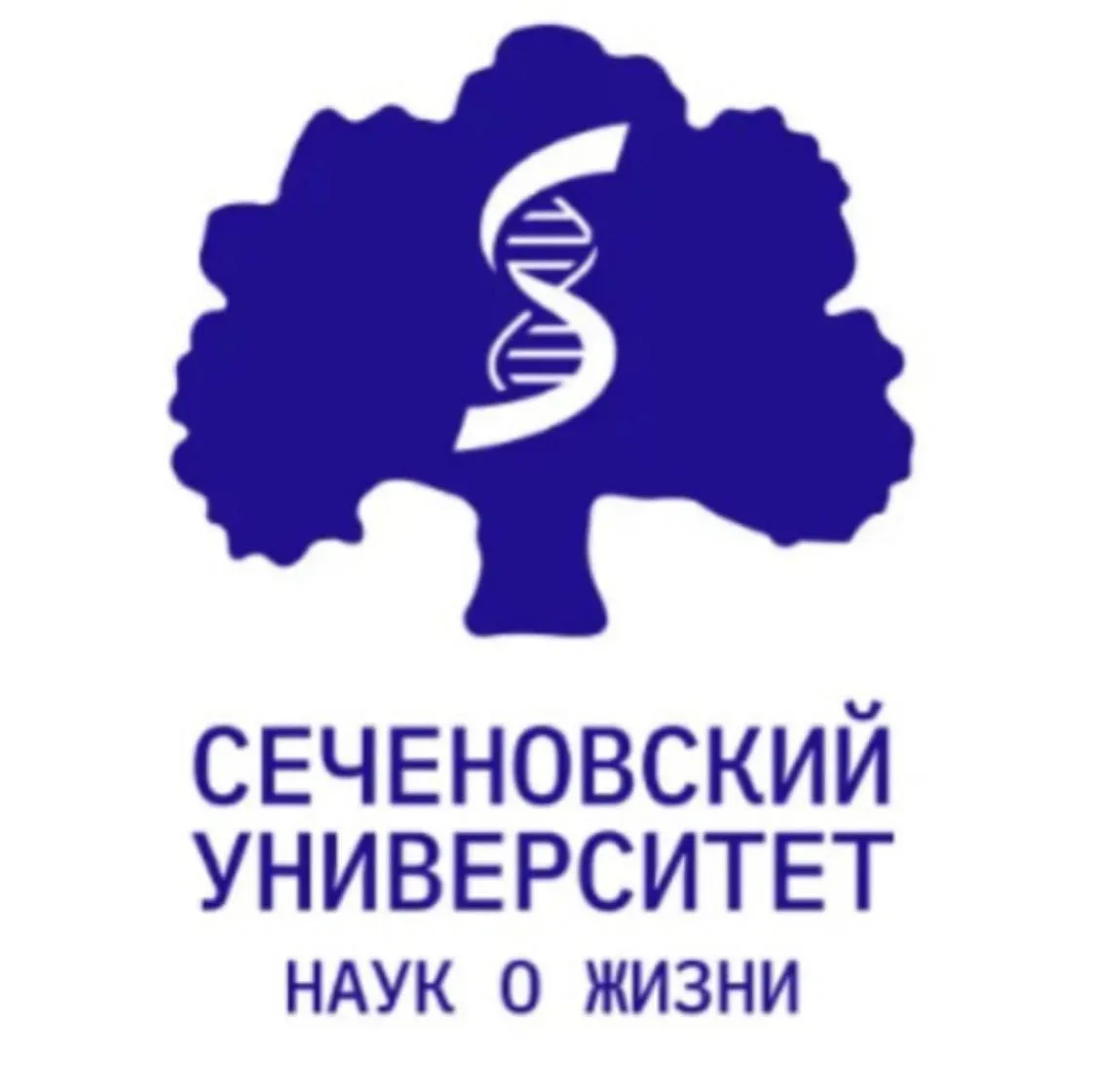 Сеченовский. Грантовая поддержка — канал в мессенджере MAX