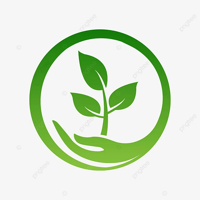 МБДОУ №43 г.Шахты