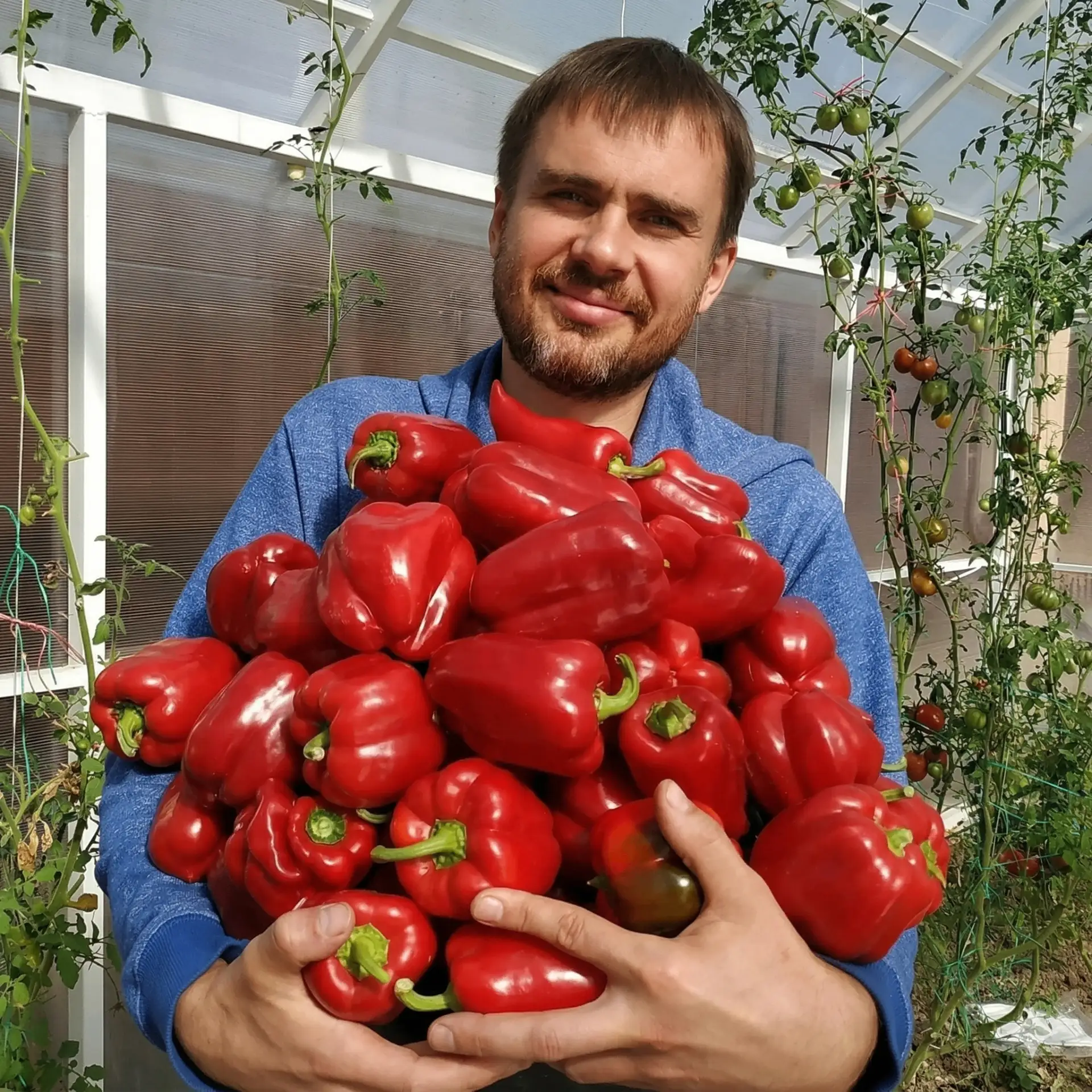 Огород fermer.first Сад Дача — канал в мессенджере MAX