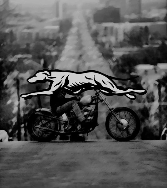 MOTORCYCLES & ART