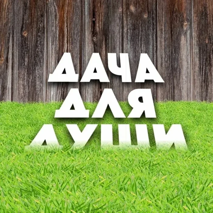 ДАЧА ДЛЯ ДУШИ — канал в мессенджере MAX