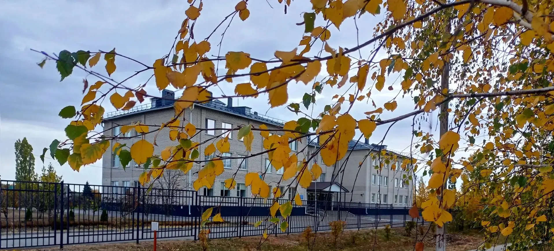 МБОУ Заброденская СОШ им. А.А. Царегородского — канал в мессенджере MAX