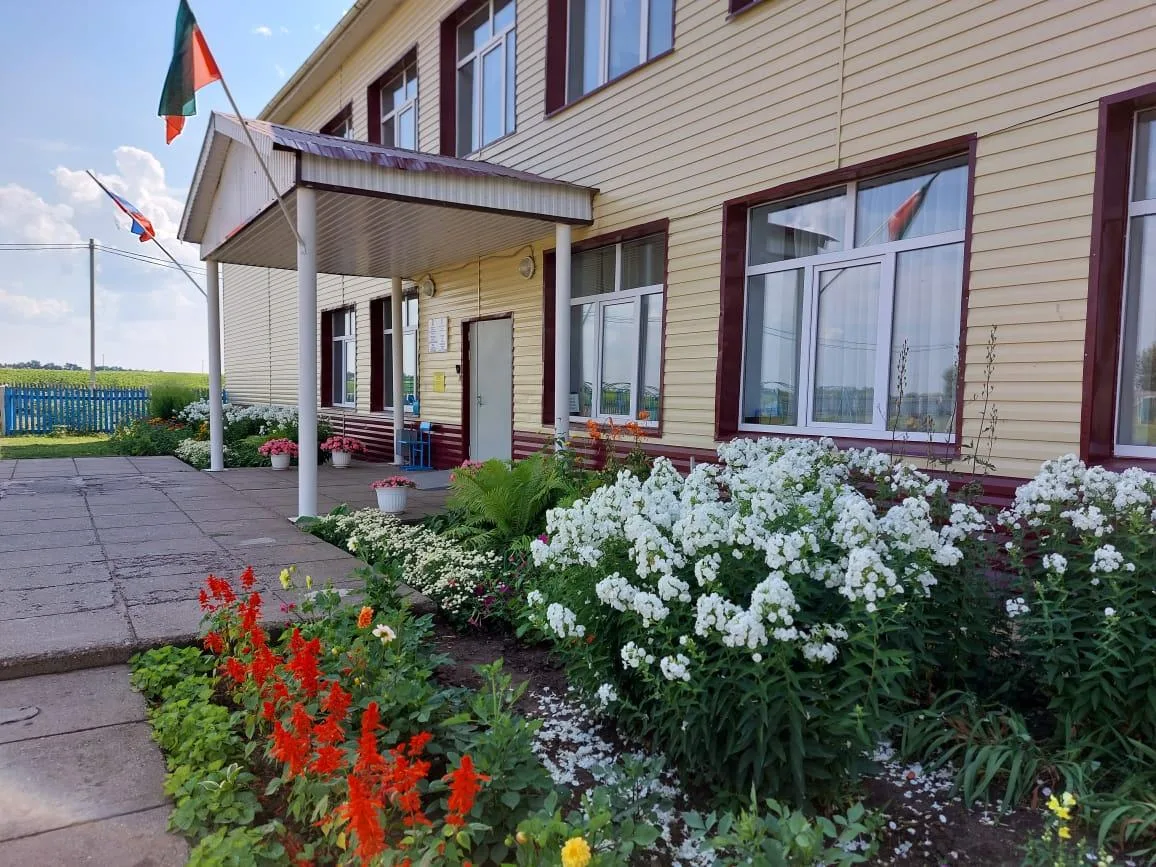 МБОУ "Борискинская СОШ" Алькеевского МР РТ