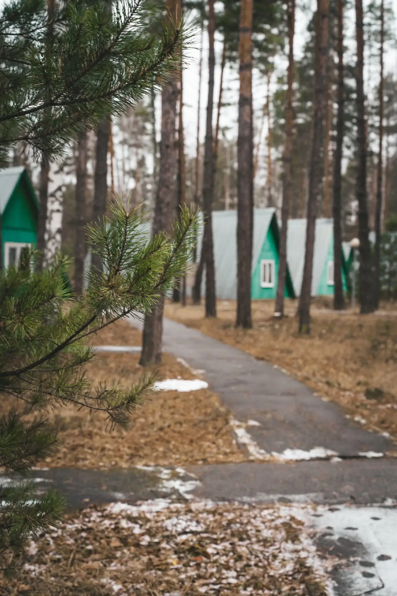 Логотип канала