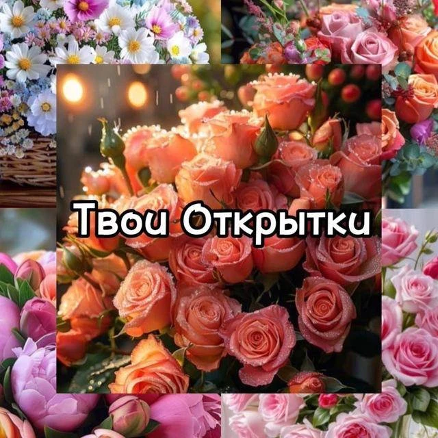 Твои открытки — канал в мессенджере MAX