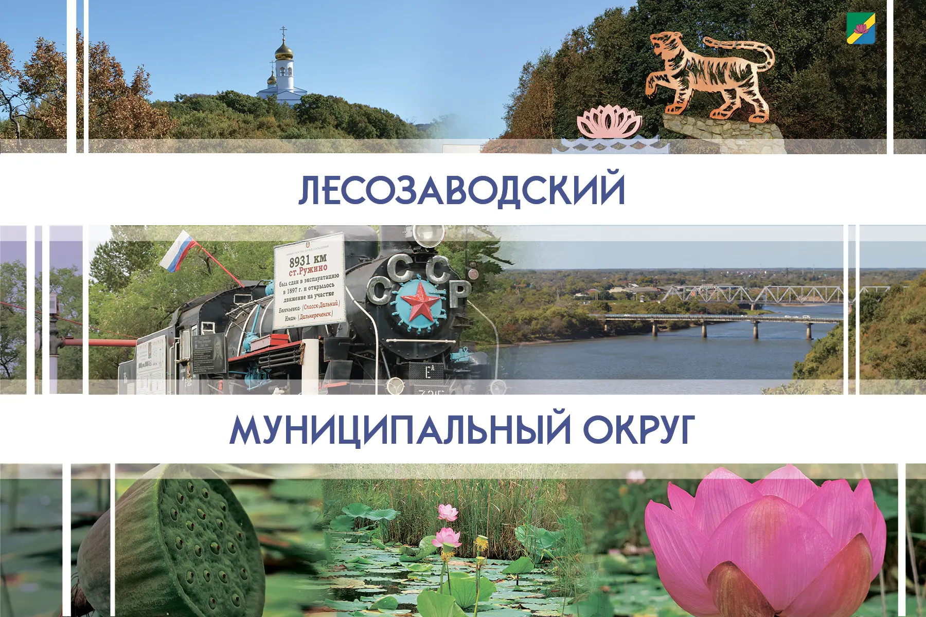 Лесозаводский муниципальный округ