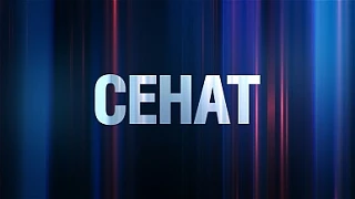 Сенат — канал в мессенджере MAX